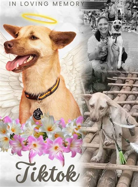 beautiful - Tiktok, a true fighter who overcame cruelty, has now
