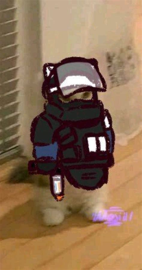 Pin De Sky En Rainbow Six Siege Art R6 Wallpaper Fotos De Perfil