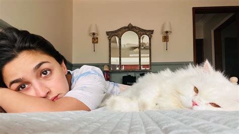 Alia Bhatt Gives A Glimpse Of Her Bedroom As She Chills With Pet Cat