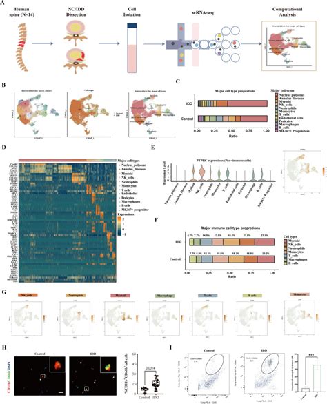 Single Cell RNA Sequencing Reveals The MIF ACKR3 Receptor Ligand