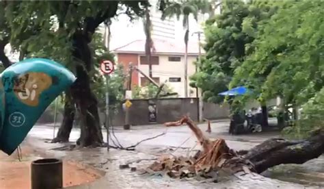 Árvore e poste caem no entorno do HGF em Fortaleza Ceará G1