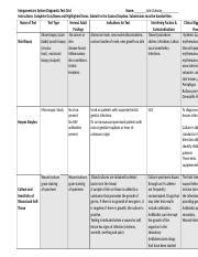 NSG120 Week 2 Integument Diagnostic Test Grid Doc Integumentary