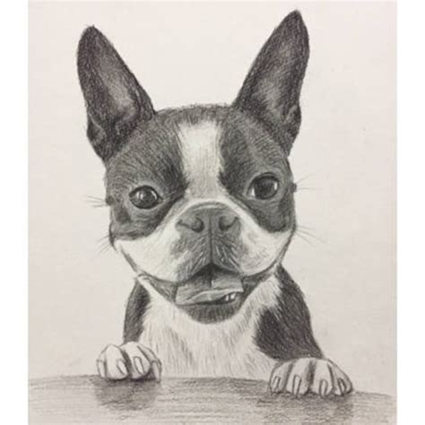 Dog Portraits Pencil - Etsy