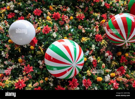 Christmas Decorations Closeup On Sydney Public Christmas Tree In Martin