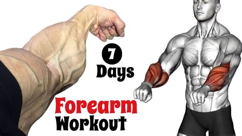 Get Bigger Forearms With These Killer Exercises Youtube