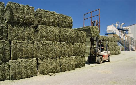 Un buen momento La exportación de forrajes deshidratados creció un 35