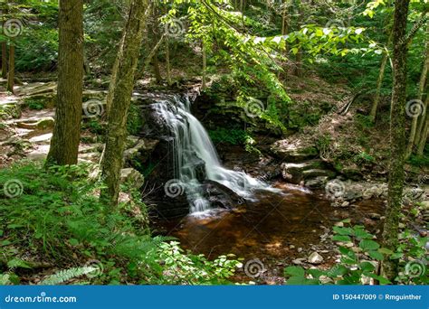 A Gentle Flowing Cascade Waterfall Surrounded By Lush Greenery Royalty