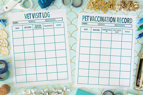 Printable Vet Record Template And Pet Vaccination Record