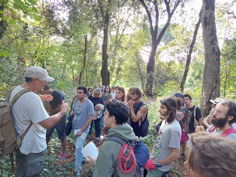 Boschi Dei Castelli Romani Da Salvare Lecoistituto Reseda Cerca