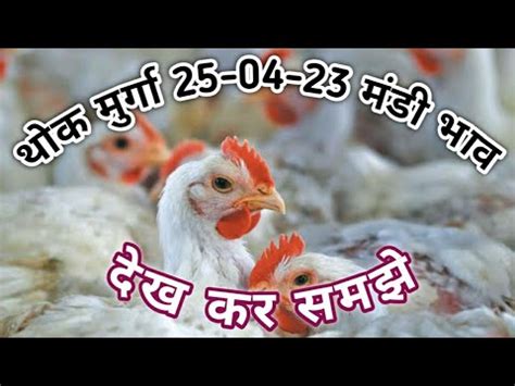 Poultry Rate Today Broiler Murga Thok Mandi Rate