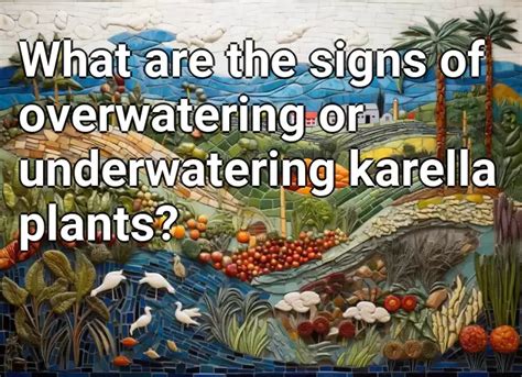 What Are The Signs Of Overwatering Or Underwatering Karella Plants Agriculture Gov Capital