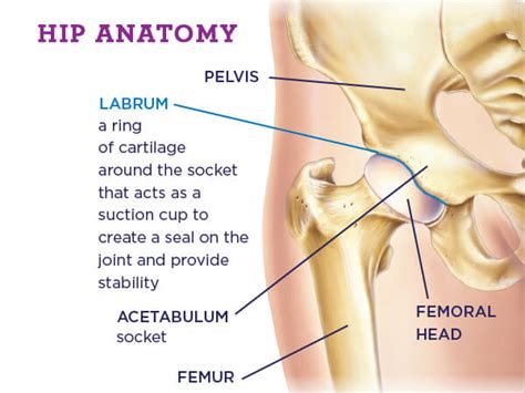 Hip Instability Diagnosis And Treatment In Omaha NE