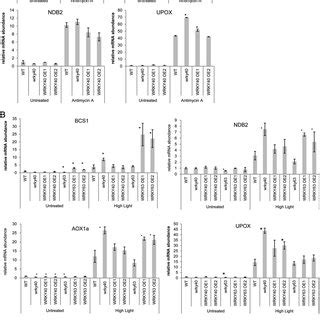 QRT PCR Analysis Of Transcripts Encoding Mitochondrial Proteins In