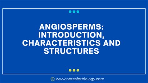 Angiosperms: Introduction, Characteristics and Structures