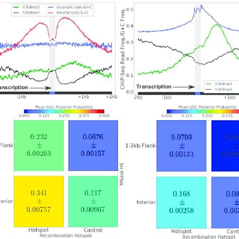 Mnase Hs Regions Are Associated With Dna Hypomethylation Mean Dna