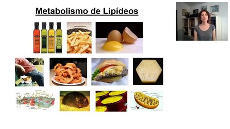 E Aulas Da Usp Metabolismo De Lip Deos