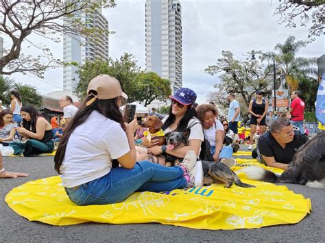 Costa Rica Celebrar El D A De La Familia Con Gran Evento Gratuito