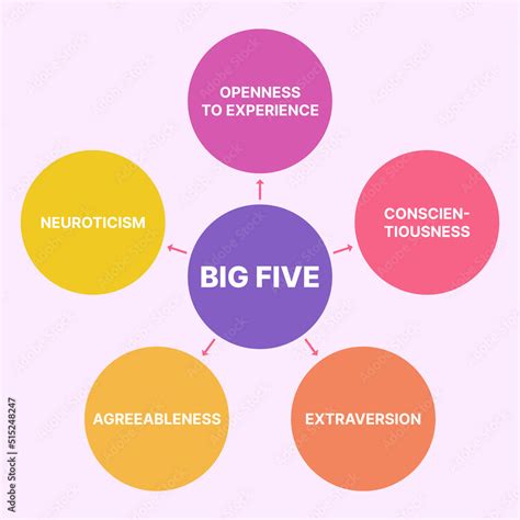 The Big Five Ocean Personality Traits Test Infographic Adobe Stock