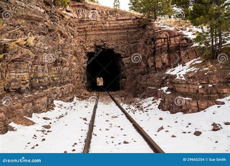 Old Railroad Tunnel Stock Photo Image Of Track Rock 29665254