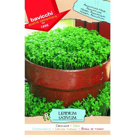 Garden Cress Seeds