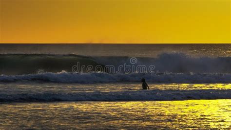 Puesta Del Sol Tirada De Una Persona Que Practica Surf Joven Que Vadea