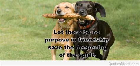 Animal Best Friend Quotes. QuotesGram