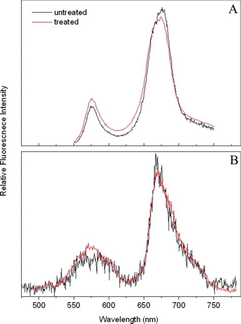 Excitation Wavelength Is 532 Nm A Ensemble Fluorescence Spectra B