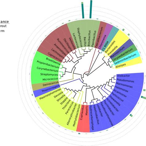 Phylogenetic Distributions Of Bacterial Taxa Otus In Samples Of Germs