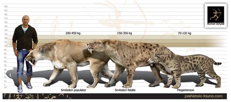 Smilodon populator - Бестиарий - Доисторические животные - Prehistoric Fauna