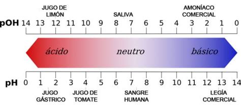 Cidos Y Bases Definici N Caracter Sticas Tipos Y Ejemplos