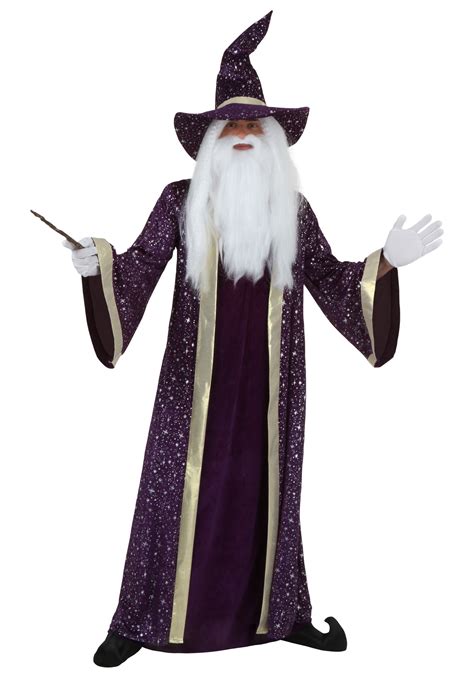 Plus Size Wizard Costume