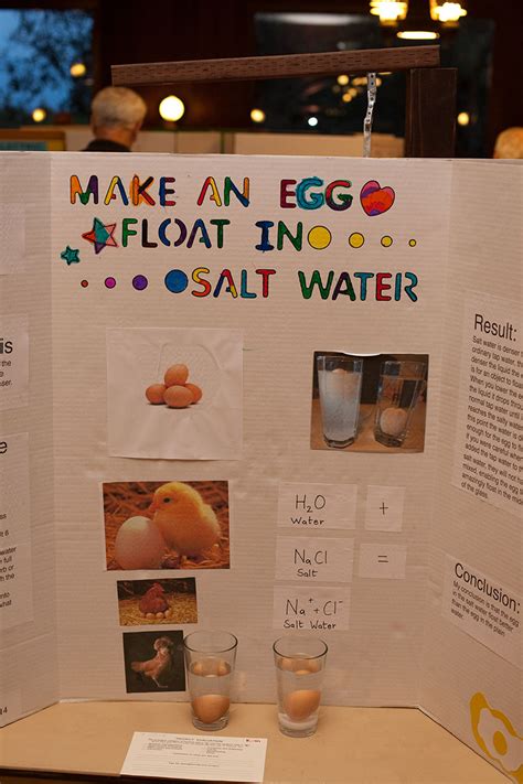 Egg Float In Salt Water Science Fair Project