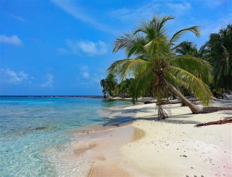 read   visiting  san blas islands panama  guide