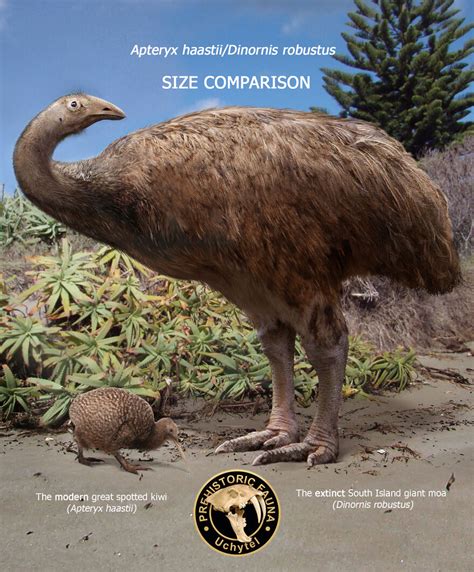 26 New Comparisons Of The Sizes Of Prehistoric Animal Ancestors And