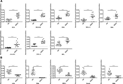 Frontiers The Abnormal Glycopatterns Of Salivary Glycoproteins In