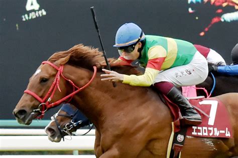 Nhkマイルカップを回避したエコロブルームは右第3中手骨を骨折 ニュージーランドt勝ち馬東スポ競馬 Goo ニュース