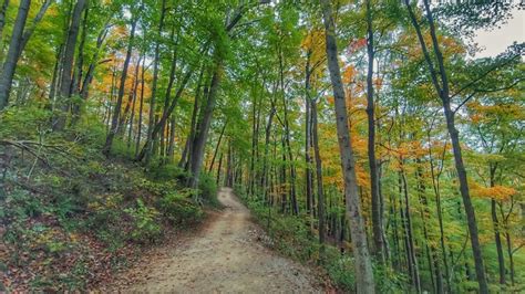 Hike To 5 Scenic Peaks On The Trails Of Berea, Kentucky