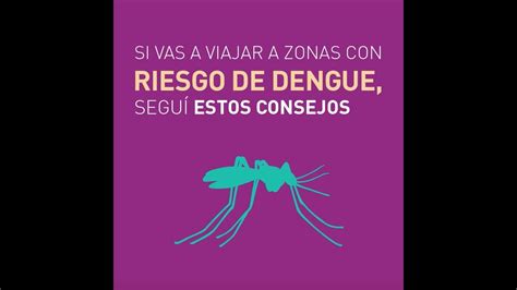 C Mo Cuidarse Del Dengue En Los Viajes Youtube