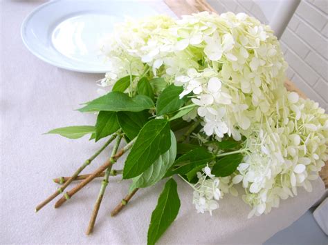 Hydrangea Season | 3 Easy Centerpieces using Hydrangeas No Vases Needed ...