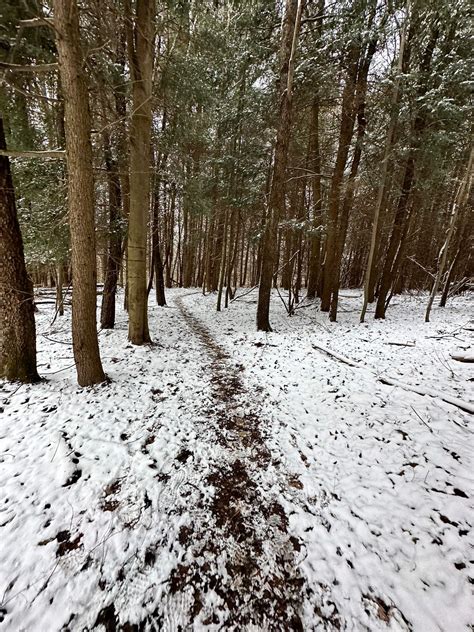 A Magical Winter Wonderland at Deep Creek Lake, MD - Deep Creek Times