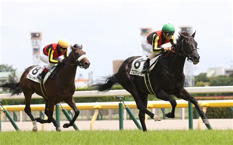 東京芝千八の新馬戦レコード！キタサンブラック産駒クロワデュノールが快勝／新馬戦 2歳馬特集 競馬写真ニュース 日刊スポーツ