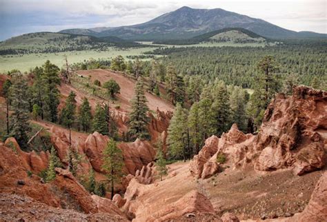 Experience the Colorado Plateau - Museum of Northern Arizona