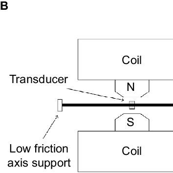 Setup For Magnetically Induced Torque Measurements Notes A The