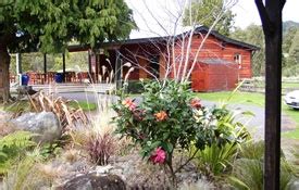 Tourist Attractions and Activities of Taumarunui, New Zealand