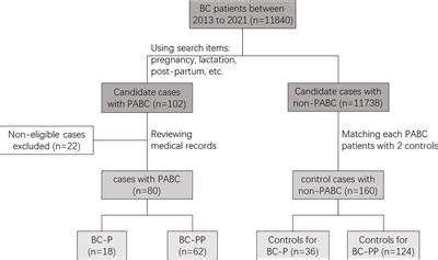 Frontiers Clinicopathologic Features Treatment And Prognosis Of