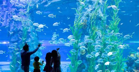 Lotte World Aquarium Ticket - Klook