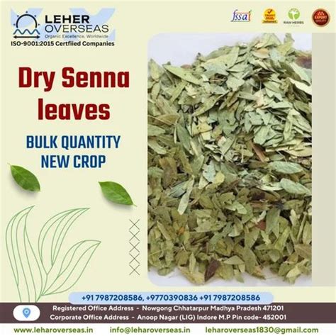 Green Senna Leaves Cut Packaging Type Bag Grade A Grade At 150 Kg