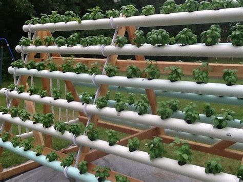 Cómo Hacer Un Sistema Hidropónico Casero Con 168 Plantas Jardim Vertical Diy Sistema