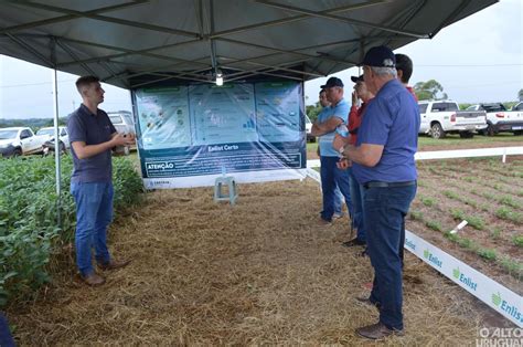 Cotrifred Realiza Dia De Campo Sobre O Cultivo Da Soja O Alto Uruguai