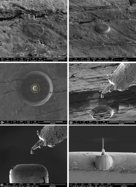 Focused Ion Beams Fib Novel Methodologies And Recent Applications